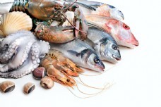 海鮮圖庫新寵 聚焦尤魚素材，一站式滿足你的設(shè)計(jì)與靈感需求